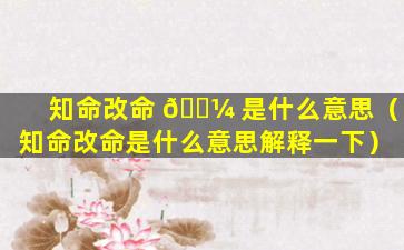 知命改命 🐼 是什么意思（知命改命是什么意思解释一下）